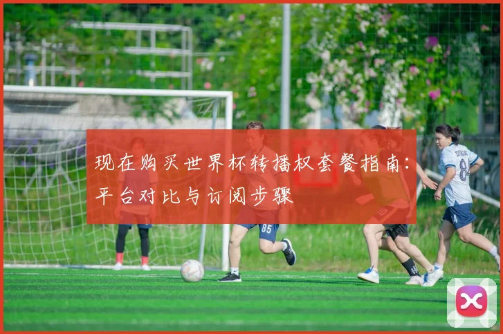 现在购买世界杯转播权套餐指南：平台对比与订阅步骤