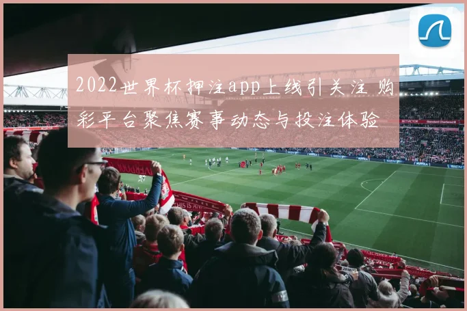 2022世界杯押注app上线引关注 购彩平台聚焦赛事动态与投注体验