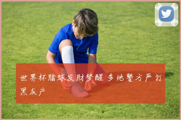 世界杯赌球发财梦醒 多地警方严打黑灰产
