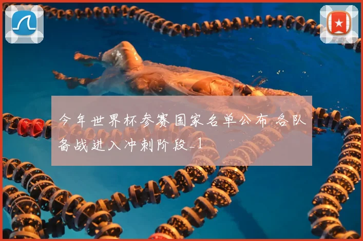 今年世界杯参赛国家名单公布 各队备战进入冲刺阶段_1